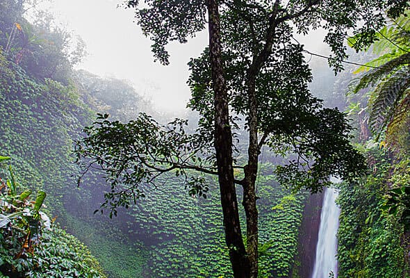 CASOS DE ÉXITO img 07 free img