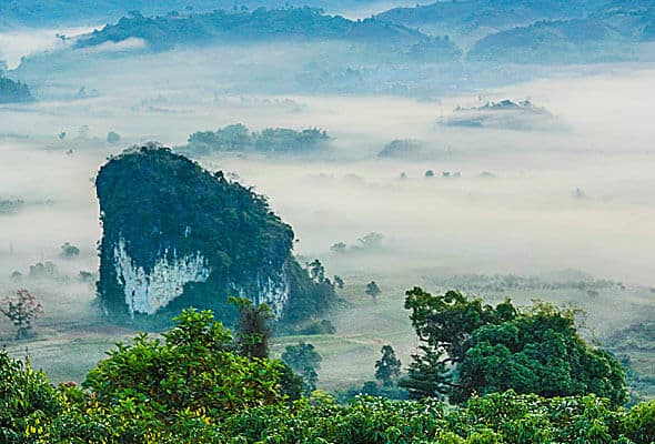 CASOS DE ÉXITO img 08 free img